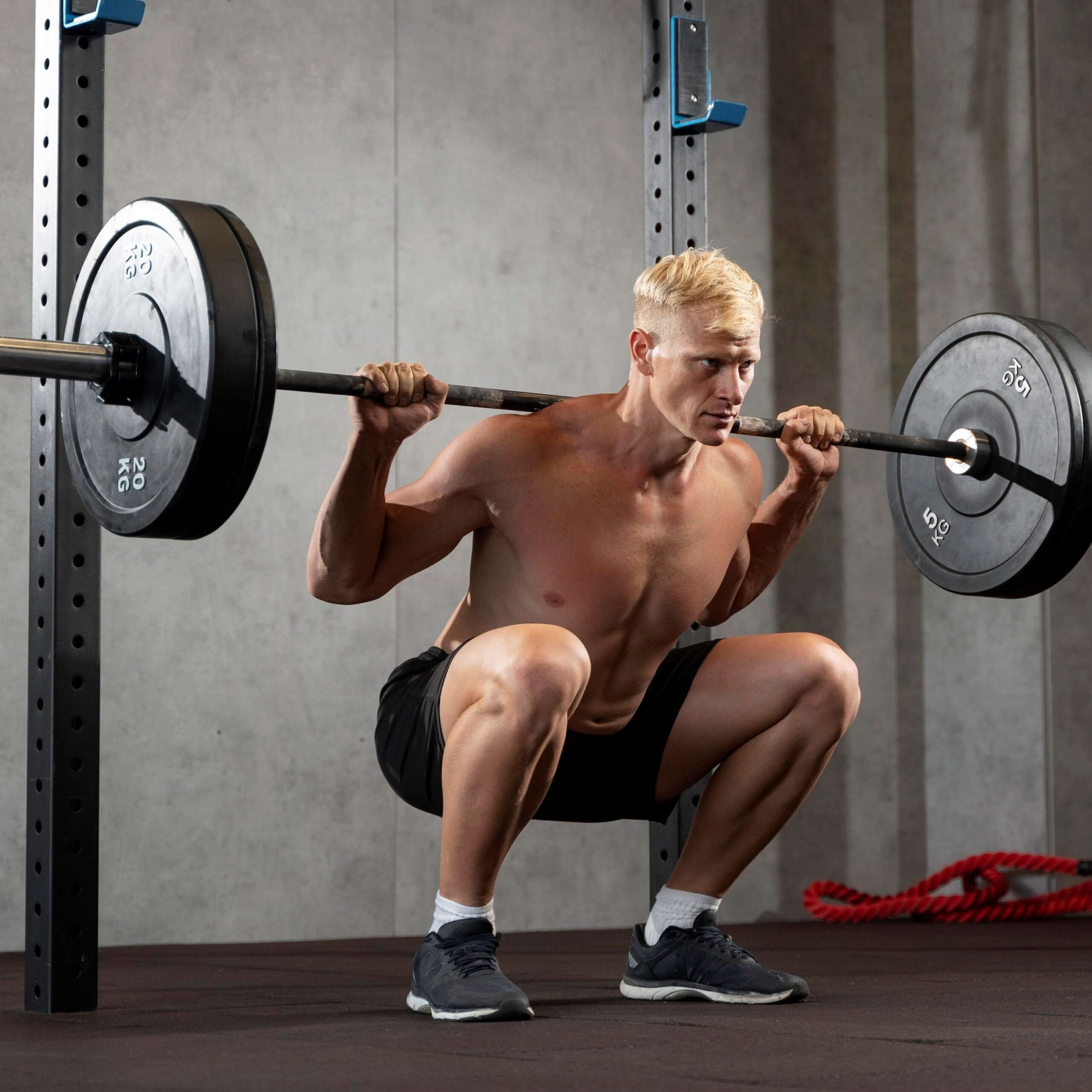Hybrid Training