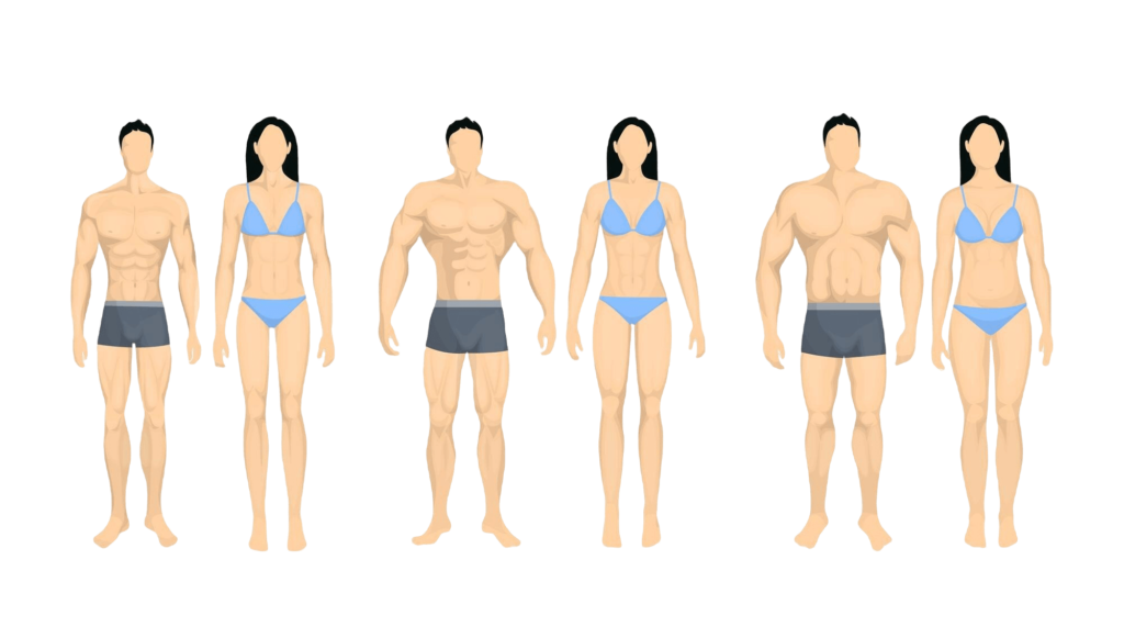 Body type